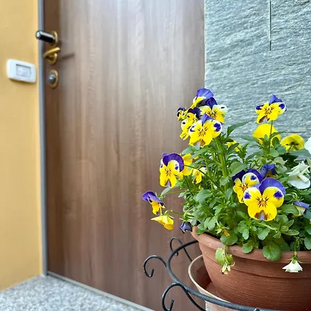 Appartamento Lr Deluxe - Casa Holi *